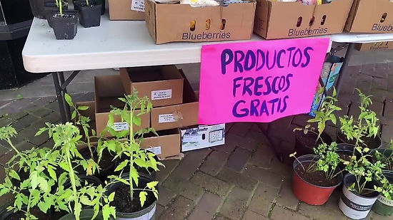 Free Produce in June